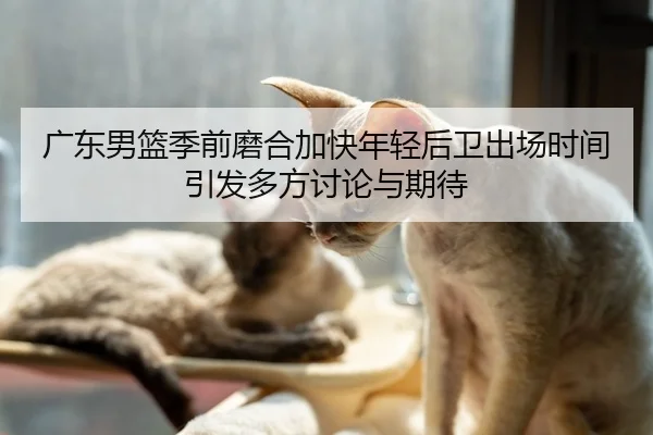 广东男篮季前磨合加快年轻后卫出场时间引发多方讨论与期待